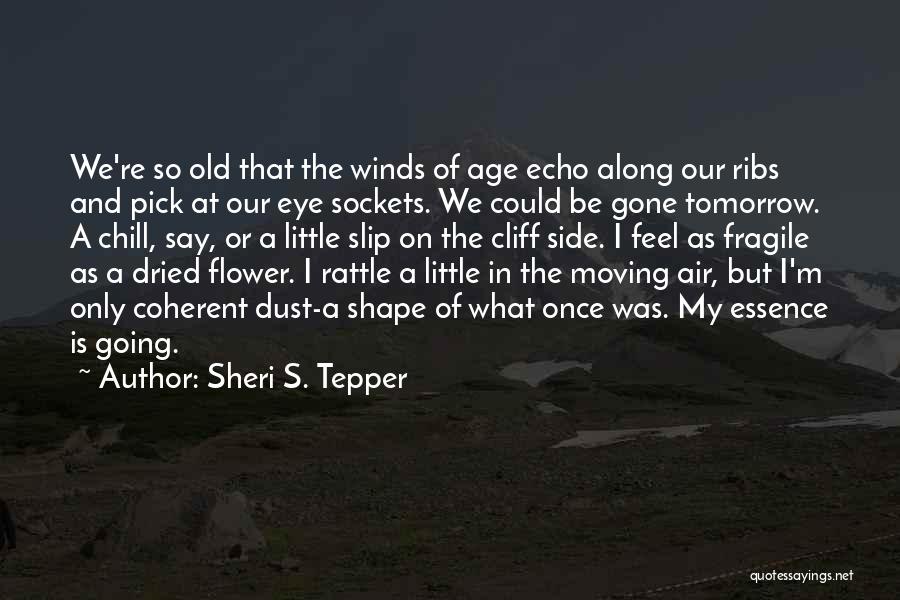 Sheri S. Tepper Quotes: We're So Old That The Winds Of Age Echo Along Our Ribs And Pick At Our Eye Sockets. We Could