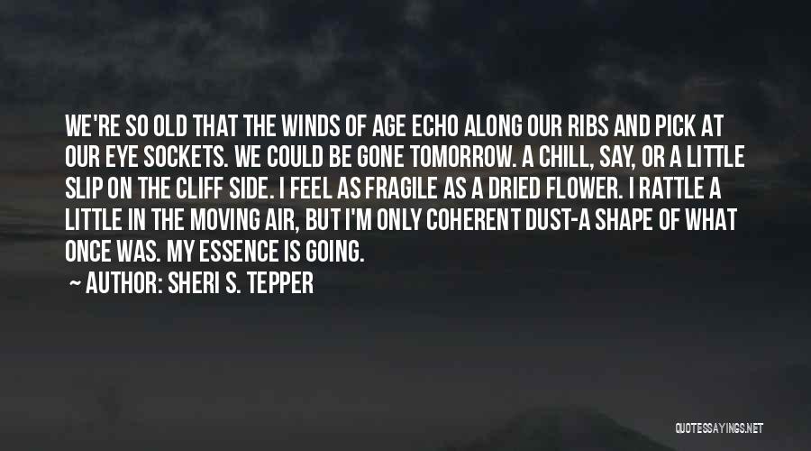 Sheri S. Tepper Quotes: We're So Old That The Winds Of Age Echo Along Our Ribs And Pick At Our Eye Sockets. We Could