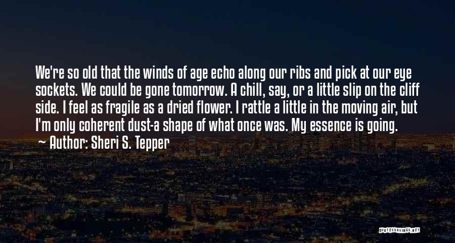 Sheri S. Tepper Quotes: We're So Old That The Winds Of Age Echo Along Our Ribs And Pick At Our Eye Sockets. We Could