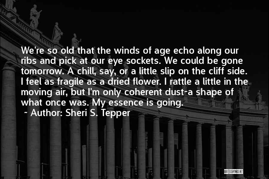 Sheri S. Tepper Quotes: We're So Old That The Winds Of Age Echo Along Our Ribs And Pick At Our Eye Sockets. We Could