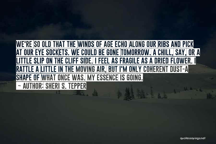 Sheri S. Tepper Quotes: We're So Old That The Winds Of Age Echo Along Our Ribs And Pick At Our Eye Sockets. We Could