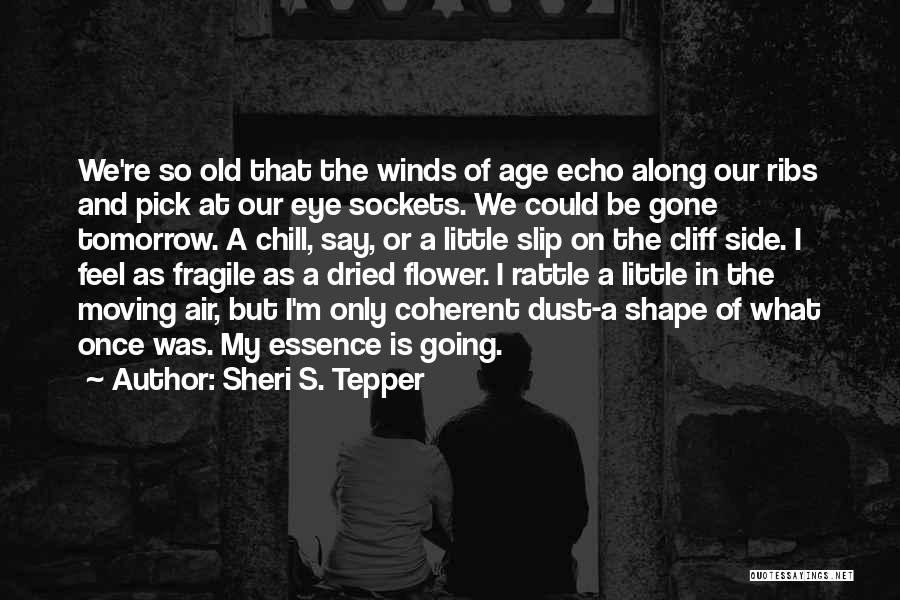 Sheri S. Tepper Quotes: We're So Old That The Winds Of Age Echo Along Our Ribs And Pick At Our Eye Sockets. We Could