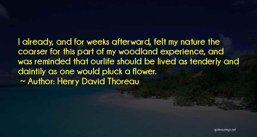 Henry David Thoreau Quotes: I Already, And For Weeks Afterward, Felt My Nature The Coarser For This Part Of My Woodland Experience, And Was