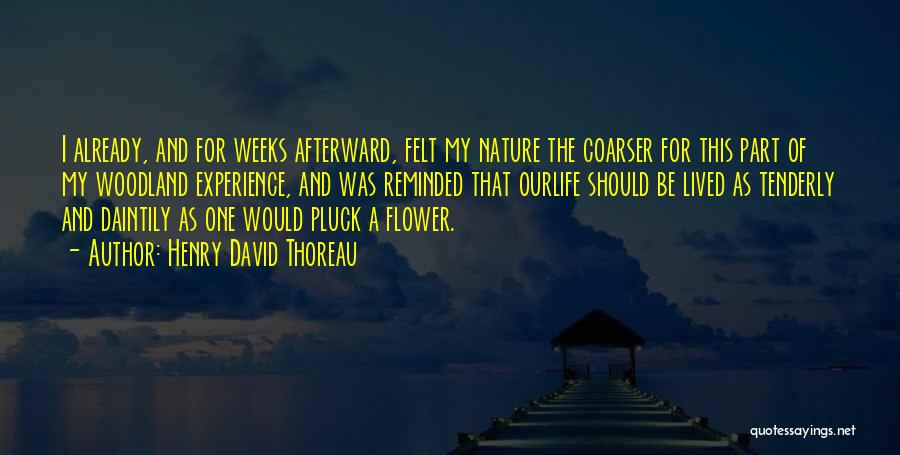 Henry David Thoreau Quotes: I Already, And For Weeks Afterward, Felt My Nature The Coarser For This Part Of My Woodland Experience, And Was