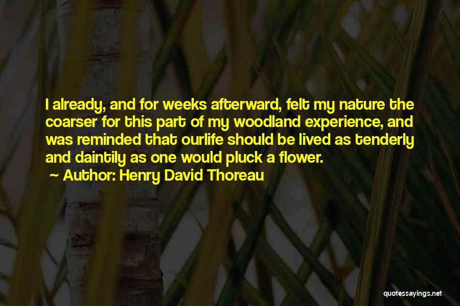 Henry David Thoreau Quotes: I Already, And For Weeks Afterward, Felt My Nature The Coarser For This Part Of My Woodland Experience, And Was