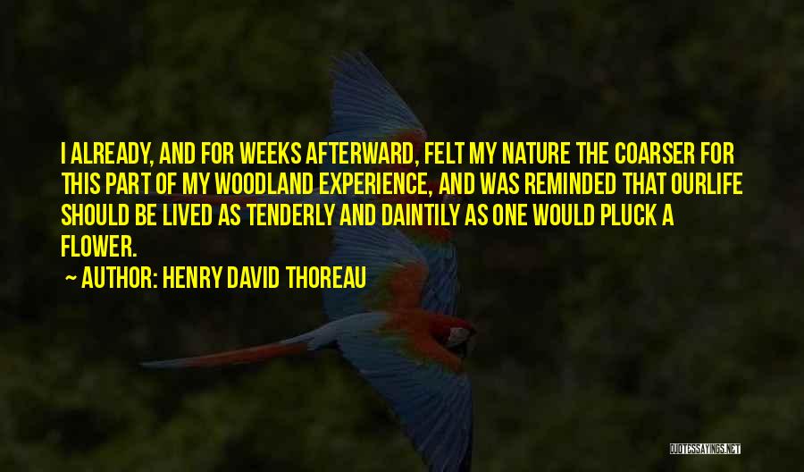 Henry David Thoreau Quotes: I Already, And For Weeks Afterward, Felt My Nature The Coarser For This Part Of My Woodland Experience, And Was