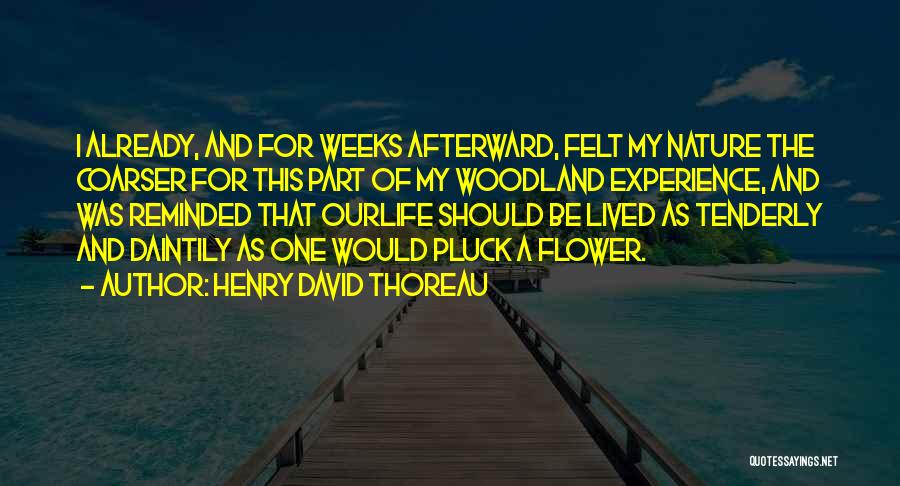 Henry David Thoreau Quotes: I Already, And For Weeks Afterward, Felt My Nature The Coarser For This Part Of My Woodland Experience, And Was