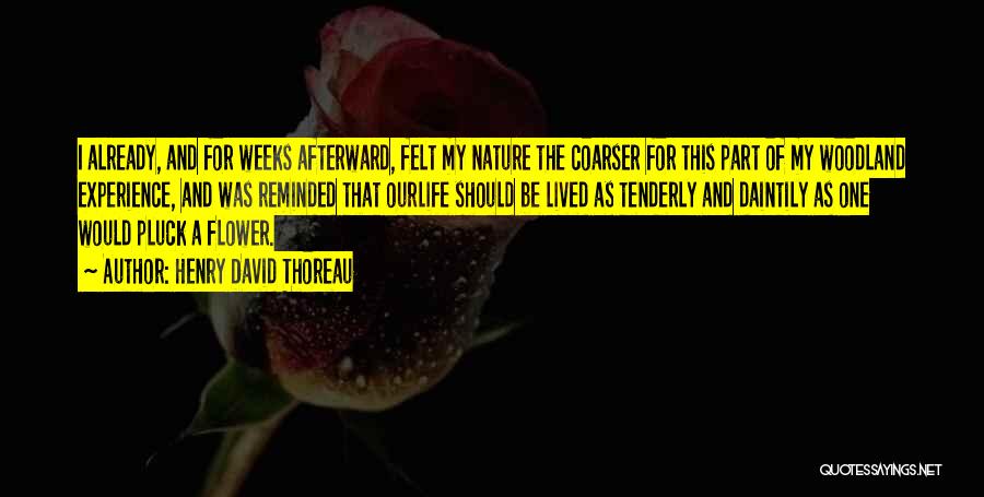 Henry David Thoreau Quotes: I Already, And For Weeks Afterward, Felt My Nature The Coarser For This Part Of My Woodland Experience, And Was