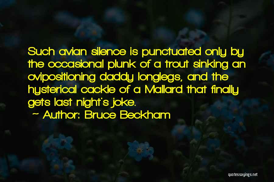 Bruce Beckham Quotes: Such Avian Silence Is Punctuated Only By The Occasional Plunk Of A Trout Sinking An Ovipositioning Daddy Longlegs, And The