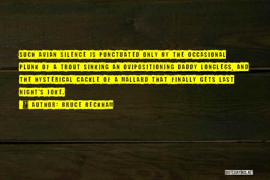 Bruce Beckham Quotes: Such Avian Silence Is Punctuated Only By The Occasional Plunk Of A Trout Sinking An Ovipositioning Daddy Longlegs, And The