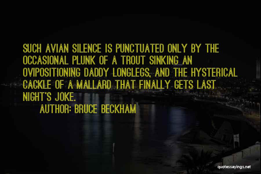 Bruce Beckham Quotes: Such Avian Silence Is Punctuated Only By The Occasional Plunk Of A Trout Sinking An Ovipositioning Daddy Longlegs, And The