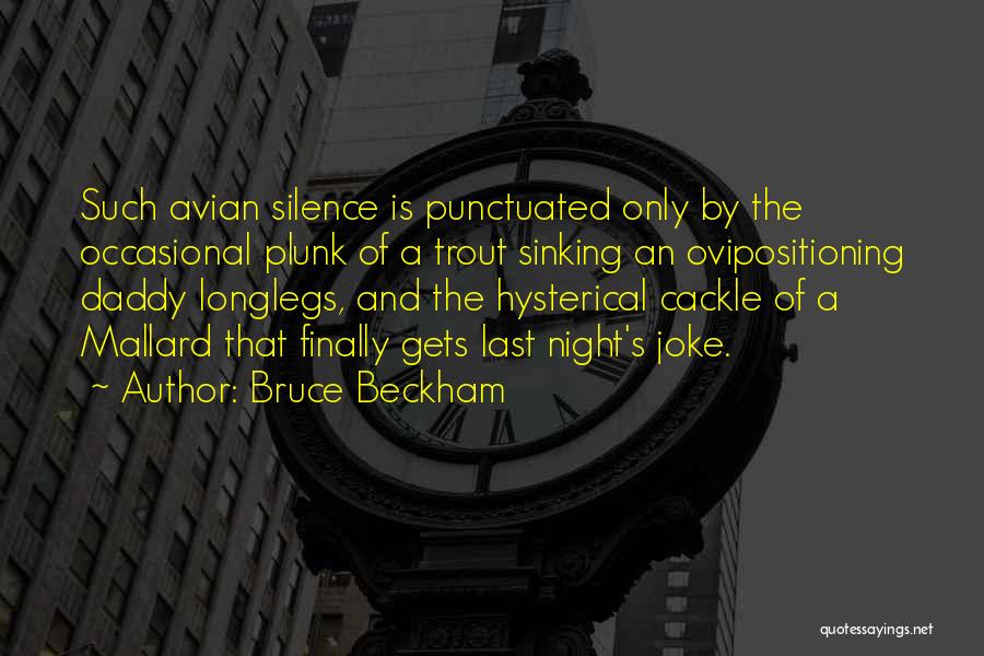 Bruce Beckham Quotes: Such Avian Silence Is Punctuated Only By The Occasional Plunk Of A Trout Sinking An Ovipositioning Daddy Longlegs, And The