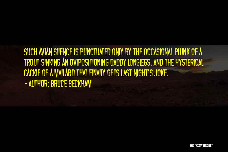 Bruce Beckham Quotes: Such Avian Silence Is Punctuated Only By The Occasional Plunk Of A Trout Sinking An Ovipositioning Daddy Longlegs, And The