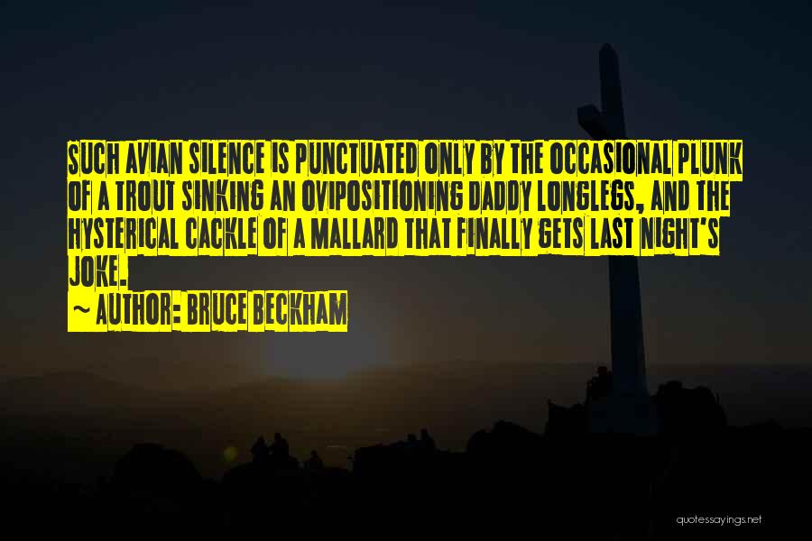 Bruce Beckham Quotes: Such Avian Silence Is Punctuated Only By The Occasional Plunk Of A Trout Sinking An Ovipositioning Daddy Longlegs, And The