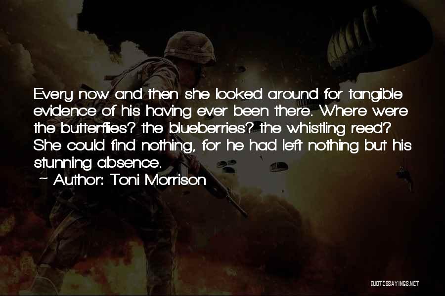 Toni Morrison Quotes: Every Now And Then She Looked Around For Tangible Evidence Of His Having Ever Been There. Where Were The Butterflies?