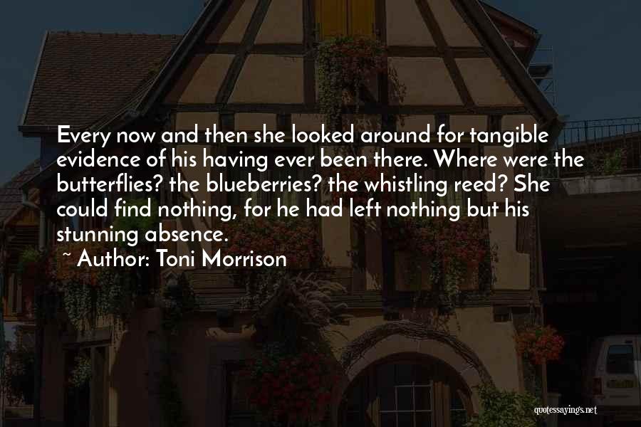 Toni Morrison Quotes: Every Now And Then She Looked Around For Tangible Evidence Of His Having Ever Been There. Where Were The Butterflies?