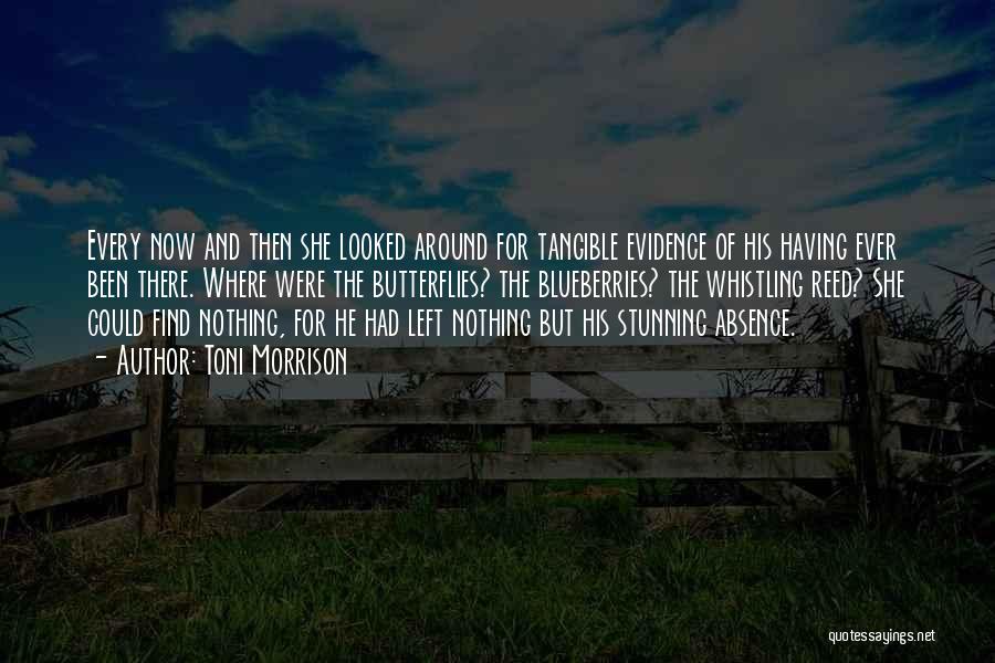Toni Morrison Quotes: Every Now And Then She Looked Around For Tangible Evidence Of His Having Ever Been There. Where Were The Butterflies?