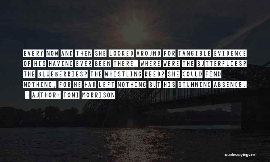 Toni Morrison Quotes: Every Now And Then She Looked Around For Tangible Evidence Of His Having Ever Been There. Where Were The Butterflies?