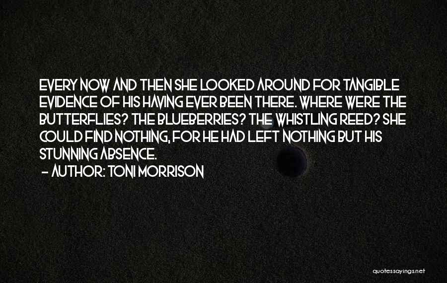 Toni Morrison Quotes: Every Now And Then She Looked Around For Tangible Evidence Of His Having Ever Been There. Where Were The Butterflies?