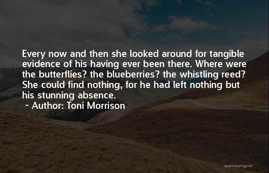 Toni Morrison Quotes: Every Now And Then She Looked Around For Tangible Evidence Of His Having Ever Been There. Where Were The Butterflies?