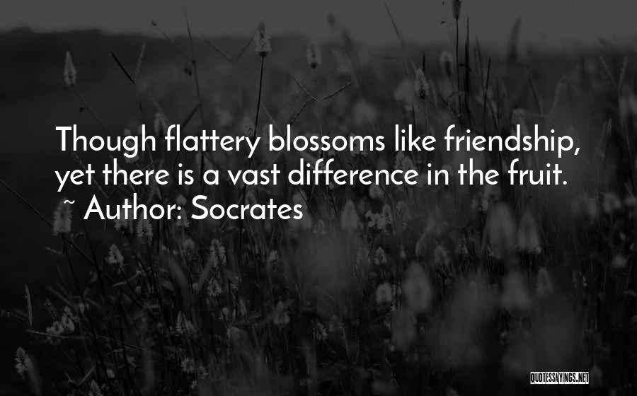 Socrates Quotes: Though Flattery Blossoms Like Friendship, Yet There Is A Vast Difference In The Fruit.