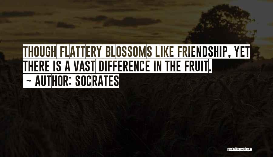 Socrates Quotes: Though Flattery Blossoms Like Friendship, Yet There Is A Vast Difference In The Fruit.