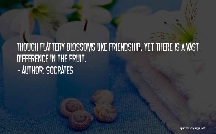 Socrates Quotes: Though Flattery Blossoms Like Friendship, Yet There Is A Vast Difference In The Fruit.