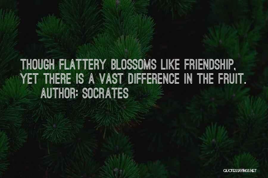 Socrates Quotes: Though Flattery Blossoms Like Friendship, Yet There Is A Vast Difference In The Fruit.