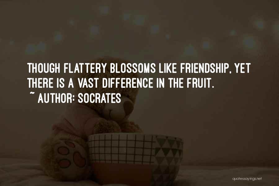 Socrates Quotes: Though Flattery Blossoms Like Friendship, Yet There Is A Vast Difference In The Fruit.