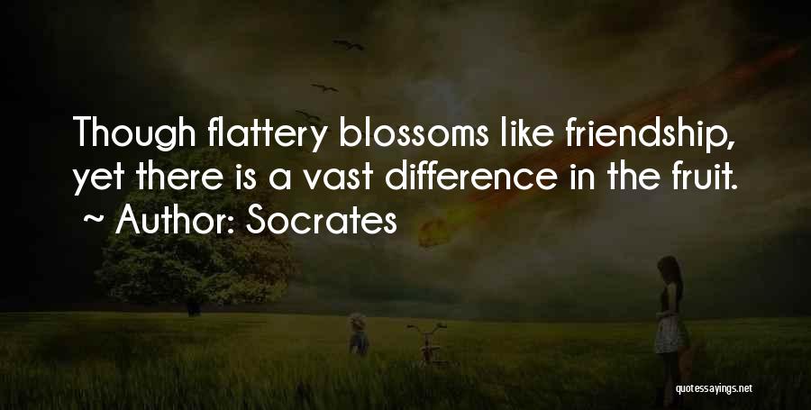 Socrates Quotes: Though Flattery Blossoms Like Friendship, Yet There Is A Vast Difference In The Fruit.