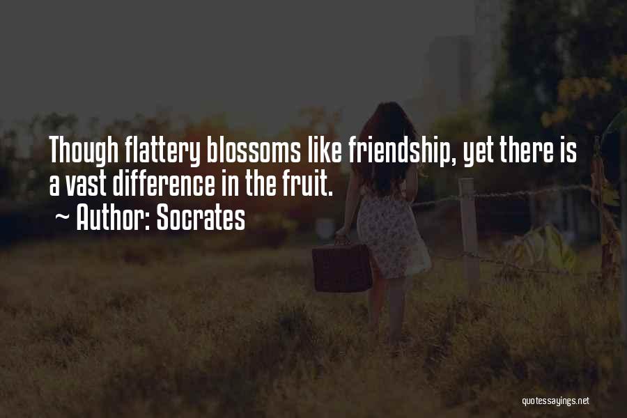 Socrates Quotes: Though Flattery Blossoms Like Friendship, Yet There Is A Vast Difference In The Fruit.