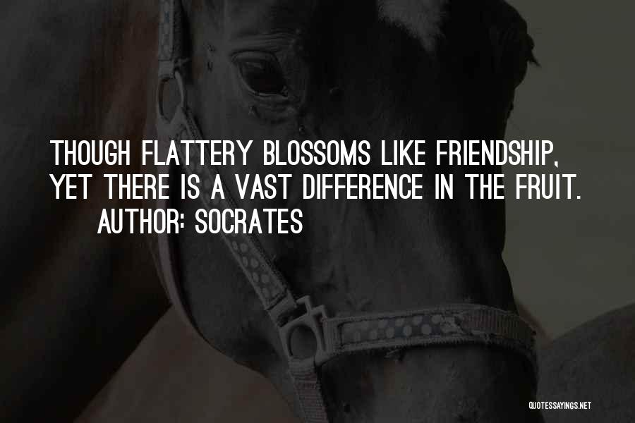 Socrates Quotes: Though Flattery Blossoms Like Friendship, Yet There Is A Vast Difference In The Fruit.