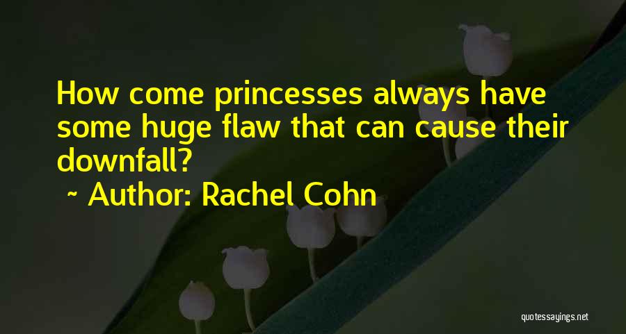 Rachel Cohn Quotes: How Come Princesses Always Have Some Huge Flaw That Can Cause Their Downfall?