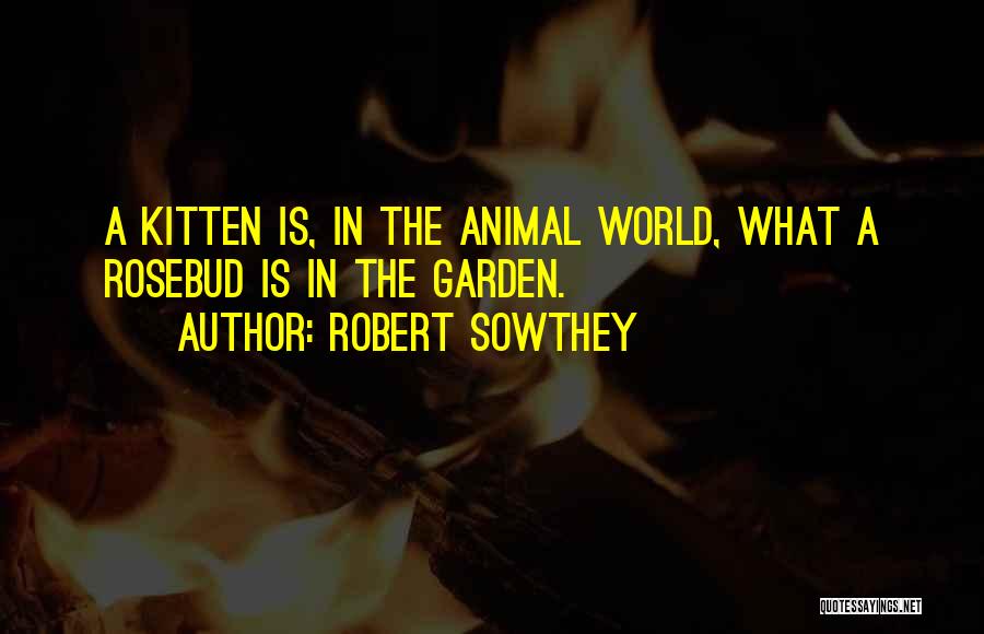 Robert Sowthey Quotes: A Kitten Is, In The Animal World, What A Rosebud Is In The Garden.