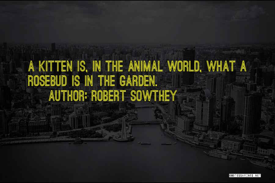 Robert Sowthey Quotes: A Kitten Is, In The Animal World, What A Rosebud Is In The Garden.