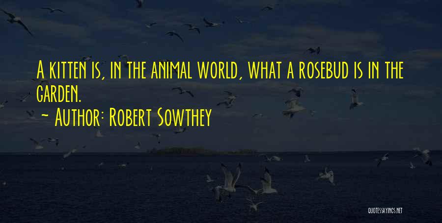 Robert Sowthey Quotes: A Kitten Is, In The Animal World, What A Rosebud Is In The Garden.