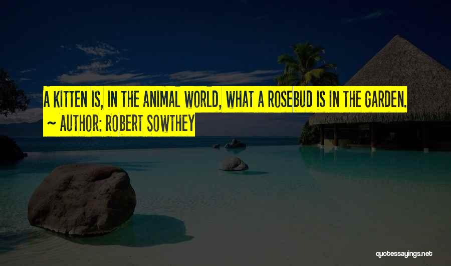 Robert Sowthey Quotes: A Kitten Is, In The Animal World, What A Rosebud Is In The Garden.