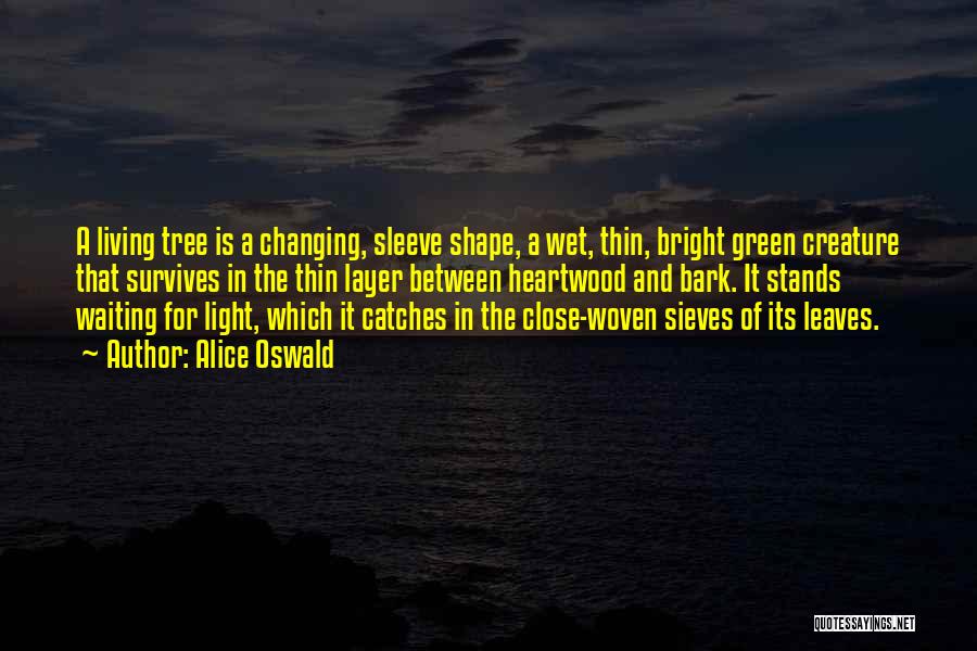 Alice Oswald Quotes: A Living Tree Is A Changing, Sleeve Shape, A Wet, Thin, Bright Green Creature That Survives In The Thin Layer