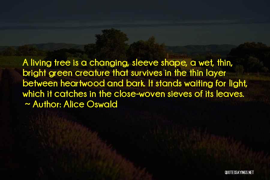 Alice Oswald Quotes: A Living Tree Is A Changing, Sleeve Shape, A Wet, Thin, Bright Green Creature That Survives In The Thin Layer
