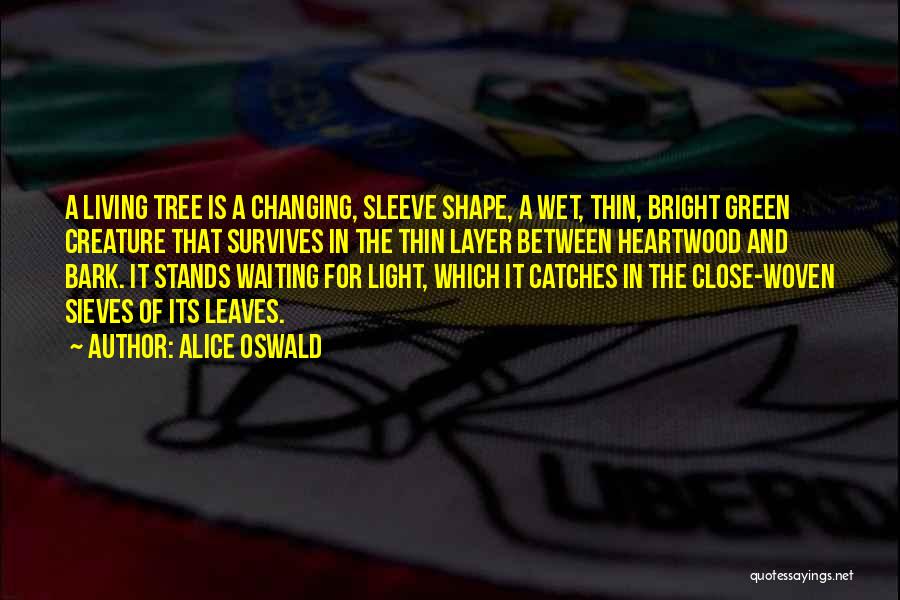 Alice Oswald Quotes: A Living Tree Is A Changing, Sleeve Shape, A Wet, Thin, Bright Green Creature That Survives In The Thin Layer