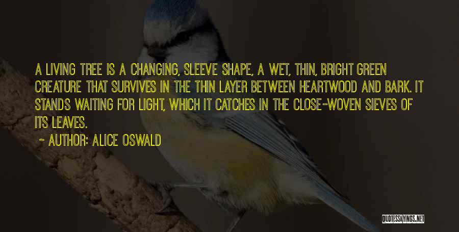 Alice Oswald Quotes: A Living Tree Is A Changing, Sleeve Shape, A Wet, Thin, Bright Green Creature That Survives In The Thin Layer
