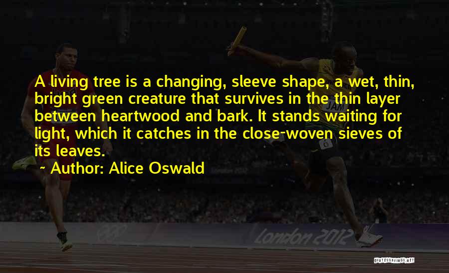 Alice Oswald Quotes: A Living Tree Is A Changing, Sleeve Shape, A Wet, Thin, Bright Green Creature That Survives In The Thin Layer
