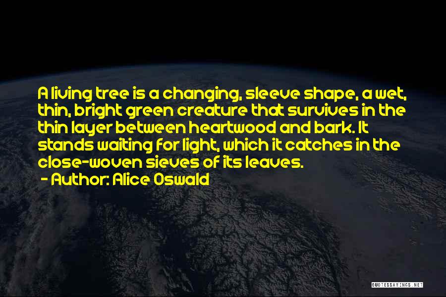 Alice Oswald Quotes: A Living Tree Is A Changing, Sleeve Shape, A Wet, Thin, Bright Green Creature That Survives In The Thin Layer