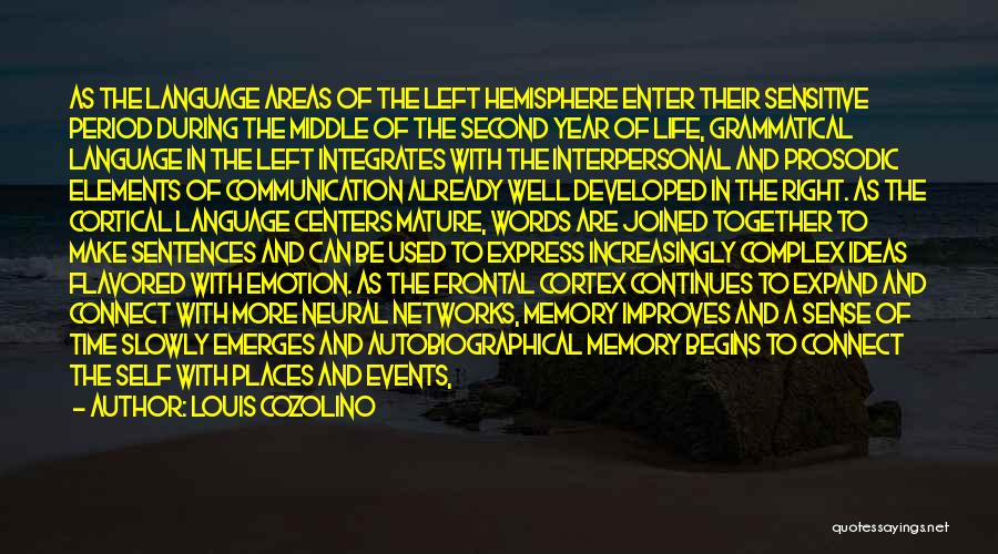 Louis Cozolino Quotes: As The Language Areas Of The Left Hemisphere Enter Their Sensitive Period During The Middle Of The Second Year Of