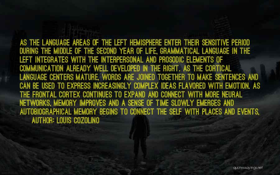 Louis Cozolino Quotes: As The Language Areas Of The Left Hemisphere Enter Their Sensitive Period During The Middle Of The Second Year Of