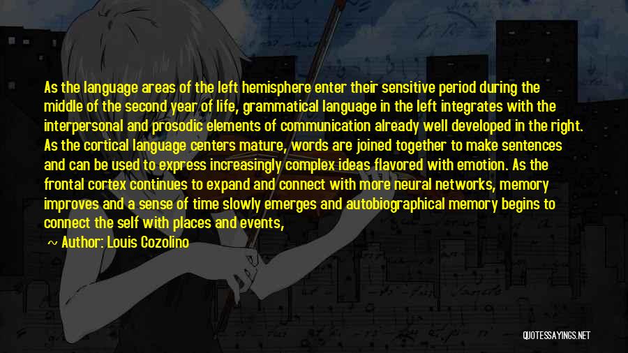 Louis Cozolino Quotes: As The Language Areas Of The Left Hemisphere Enter Their Sensitive Period During The Middle Of The Second Year Of