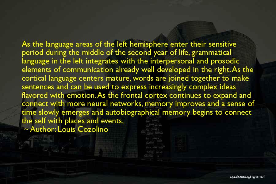 Louis Cozolino Quotes: As The Language Areas Of The Left Hemisphere Enter Their Sensitive Period During The Middle Of The Second Year Of