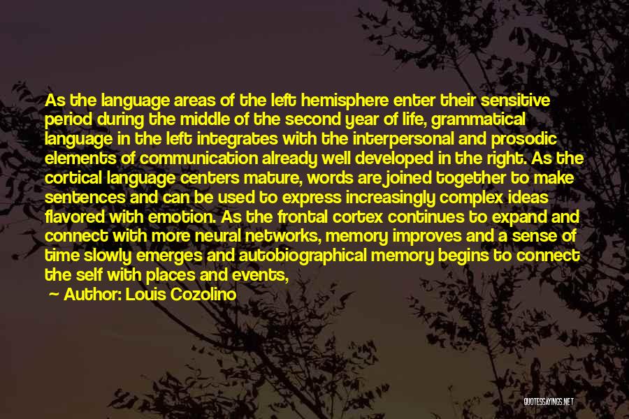 Louis Cozolino Quotes: As The Language Areas Of The Left Hemisphere Enter Their Sensitive Period During The Middle Of The Second Year Of