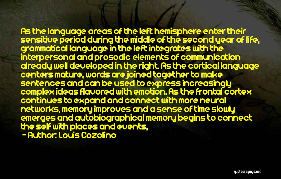 Louis Cozolino Quotes: As The Language Areas Of The Left Hemisphere Enter Their Sensitive Period During The Middle Of The Second Year Of