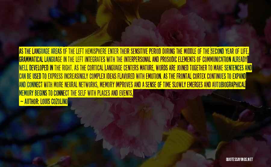 Louis Cozolino Quotes: As The Language Areas Of The Left Hemisphere Enter Their Sensitive Period During The Middle Of The Second Year Of